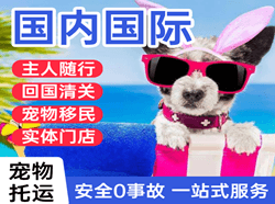 朝阳航空运输国际宠物托运 【国